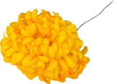 Voskovna krizantema - rumeno-oranžna (14 cm) - 24 kosov