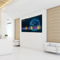 Startech FLATPNLWALL tv nosilec