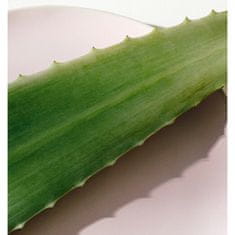 Nivea Svetloba Lotion Aloe Hydration ( Body Lotion) (Neto kolièina 625 ml)