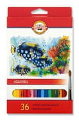 Koh-i-Noor šola akvarelnih barvic 36 kosov motiv RIBA