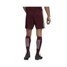 Adidas Hlače obutev za trening bordo rdeča 176 - 181 cm/L Squadra 21