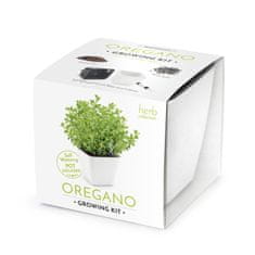 Domestico GROW YOUR ORAGANO, darilni set s samooskrbnim loncem, BELI 13X13 CM