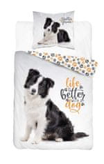 Detexpol Vključeno perilo Border collie Life Bombaž, 140/200, 70/80 cm