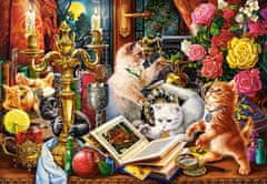 Castorland Puzzle Čarovniški mucki 1000 kosov
