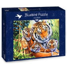 BlueBird print Lily's Pride puzzle 1000 kosov